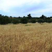 Земельный участок в Греции, Центральная Македония, Центр