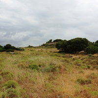 Земельный участок в Греции, Крит, Ханья