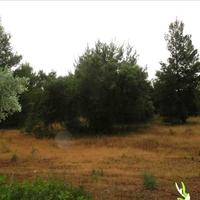 Land plot in Greece, Central Macedonia, Center