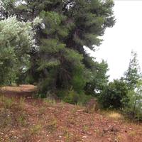 Land plot in Greece, Central Macedonia, Center