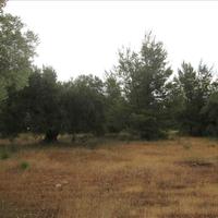 Land plot in Greece, Central Macedonia, Center