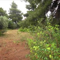 Land plot in Greece, Central Macedonia, Center