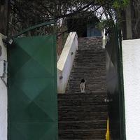 Other in Greece, Attica, Athens, 270 sq.m.