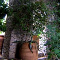 Other in Greece, Attica, Athens, 270 sq.m.