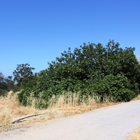 Land plot in Greece, Crete, Chania