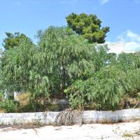 Бизнес-центр в Греции, Пелопоннес, 400 кв.м.