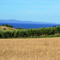 Land plot in Greece, Central Macedonia, Center