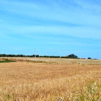 Land plot in Greece, Central Macedonia, Center