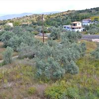 Бизнес-центр в Греции, Пелопоннес, 780 кв.м.