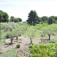 Другое в Греции, Центральная Македония, Центр, 73 кв.м.