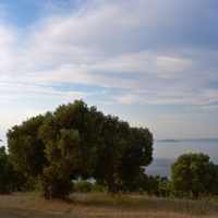 Земельный участок в Греции, Центральная Македония, Центр