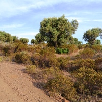 Земельный участок в Греции, Центральная Македония, Центр