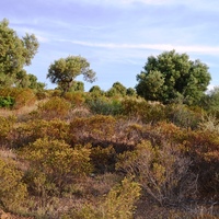 Земельный участок в Греции, Центральная Македония, Центр
