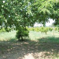 Земельный участок в Греции, Центральная Македония, Центр