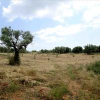 Земельный участок в Греции, Центральная Македония, Центр