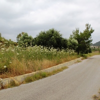 Business center in Greece, Dode, 1300 sq.m.