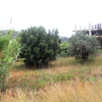 Business center in Greece, Dode, 4800 sq.m.