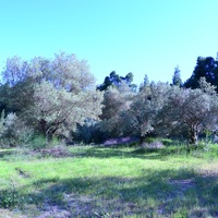 Land plot in Greece, Central Macedonia, Center
