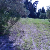 Land plot in Greece, Central Macedonia, Center