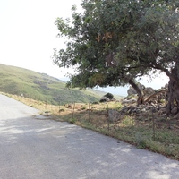 Land plot in Greece, Crete, Chania