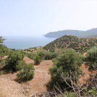 Land plot in Greece, Crete, 8080 sq.m.