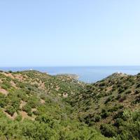 Land plot in Greece, Crete, 9000 sq.m.