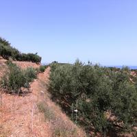 Land plot in Greece, Crete, 9000 sq.m.
