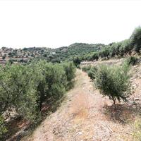 Land plot in Greece, Crete, 9000 sq.m.