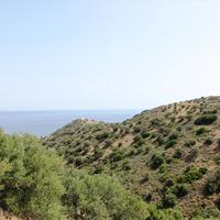Land plot in Greece, Crete, 9000 sq.m.