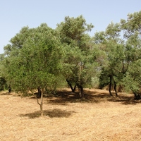 Земельный участок в Греции, Крит