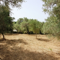 Земельный участок в Греции, Крит