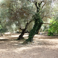 Land plot in Greece, Crete