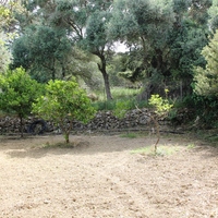 Land plot in Greece, Crete
