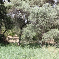 Land plot in Greece, Crete