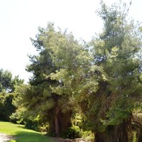 Other in Greece, Central Macedonia, Center, 137 sq.m.