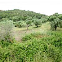 Land plot in Greece, Central Macedonia, Center