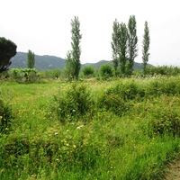 Земельный участок в Греции, Центральная Македония, Центр