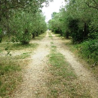 Другое в Греции, Центральная Македония, Центр, 80 кв.м.