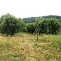 Земельный участок в Греции, Центральная Македония, Центр