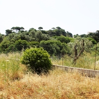 Other in Greece, Dode, 120 sq.m.