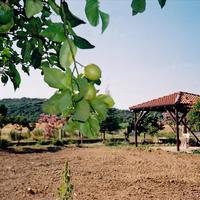 Земельный участок в Греции, Dode