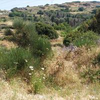 Земельный участок в Греции