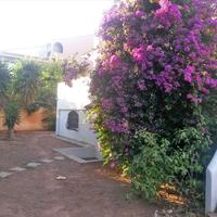 Other in Greece, Attica, Athens, 485 sq.m.