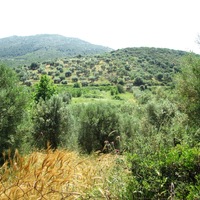 Земельный участок в Греции, Центральная Македония, Центр