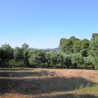 Land plot in Greece, Central Macedonia, Center