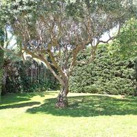 Villa in Greece, Attica, Athens, 626 sq.m.