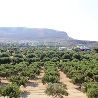 Земельный участок в Греции, Крит, Ираклион