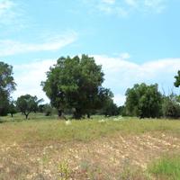Land plot in Greece, Central Macedonia, Center
