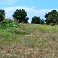 Land plot in Greece, Central Macedonia, Center