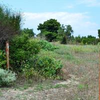 Land plot in Greece, Central Macedonia, Center
